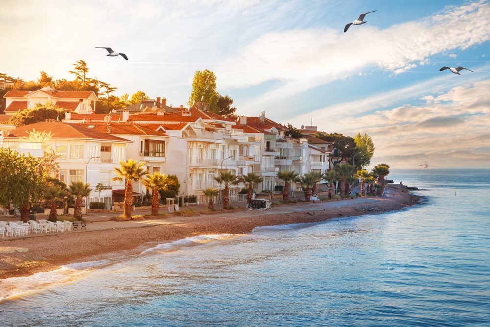 Sarigerme Dalyan River Cruise, Turtle Beach & Mud Baths