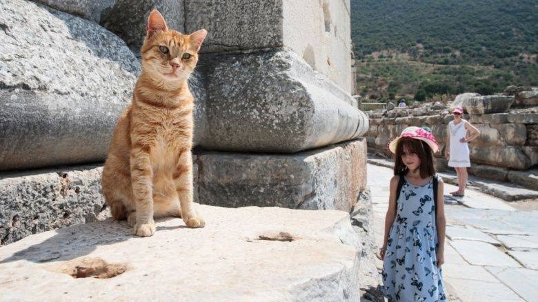 Bodrum – Éphèse et La Maison de la Vierge Marie